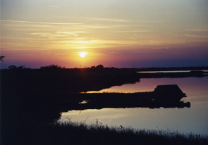 Valli di Comacchio a Sant'Alberto al tramonto