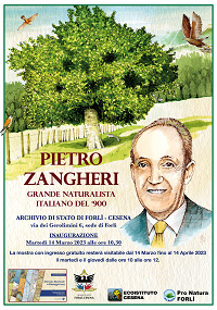 Locandina mostra Zangheri